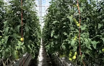 Применение лития углекислого в сельском хозяйстве