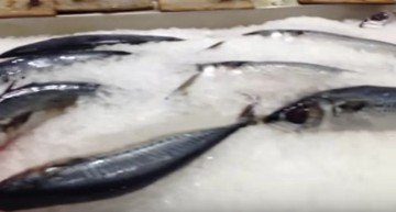 Особенность применения натрия нитрита для предохранения свежей рыбы