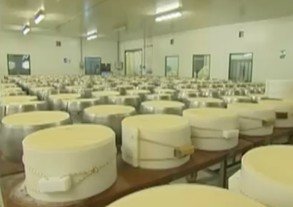 Применение сорбиновой кислоты в производстве сыра